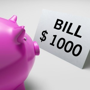 piggybank-bills-Stuart-Miles